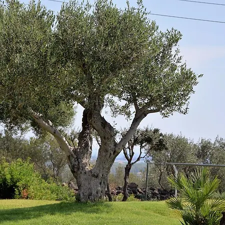 Casa La Vela Prázdninový dům Cala Liberotto